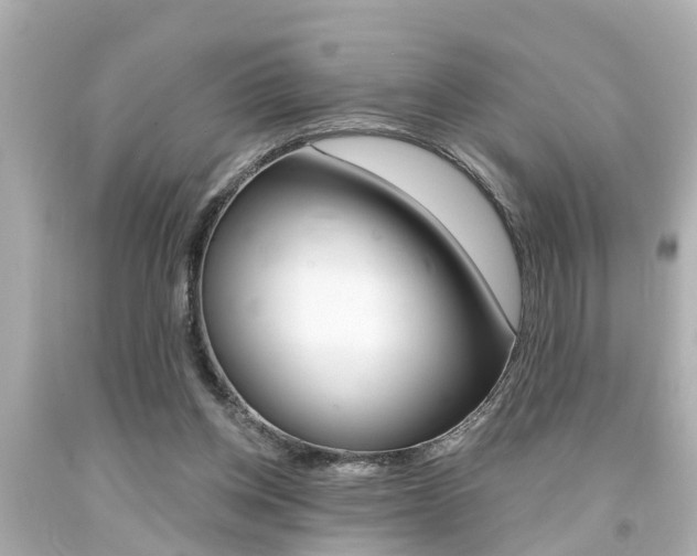 X0000094380158200711020833