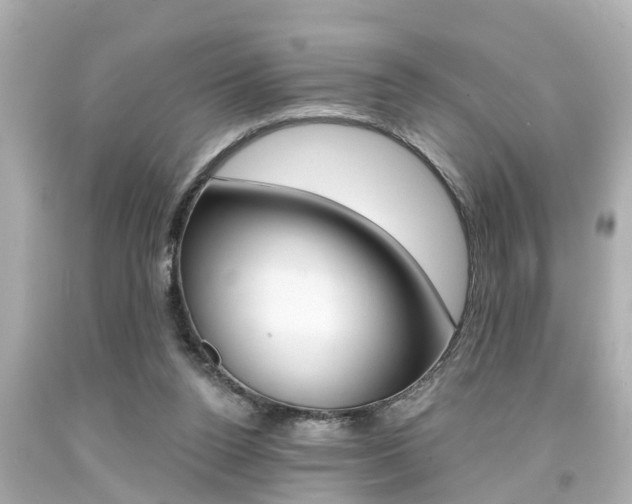 X0000094380160200711020833