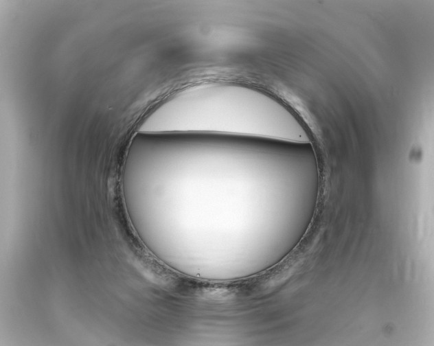 X0000094380161200711020833