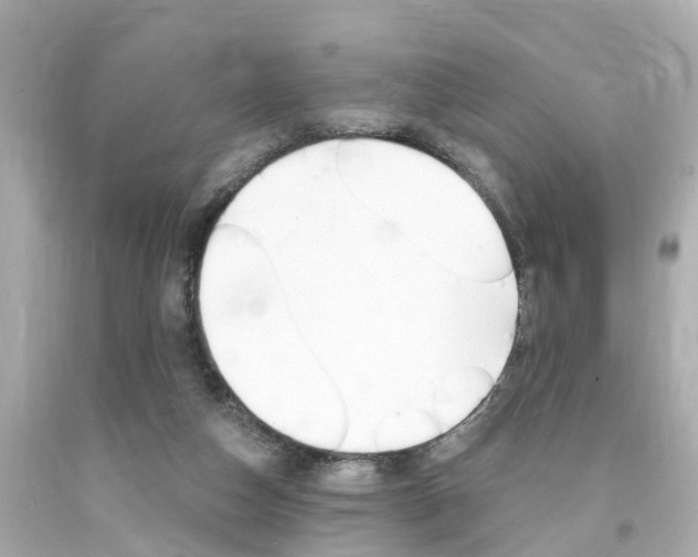 X0000094380162200711020833