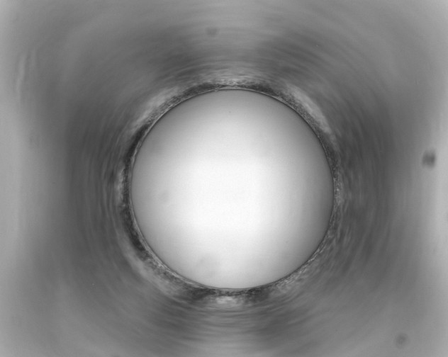 X0000094380163200711020833