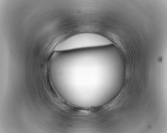 X0000094380167200711020833