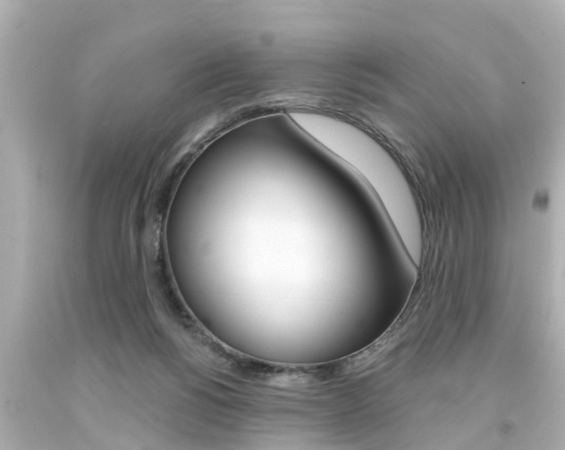 X0000094380168200711020833