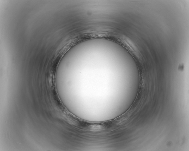 X0000094380169200711020833