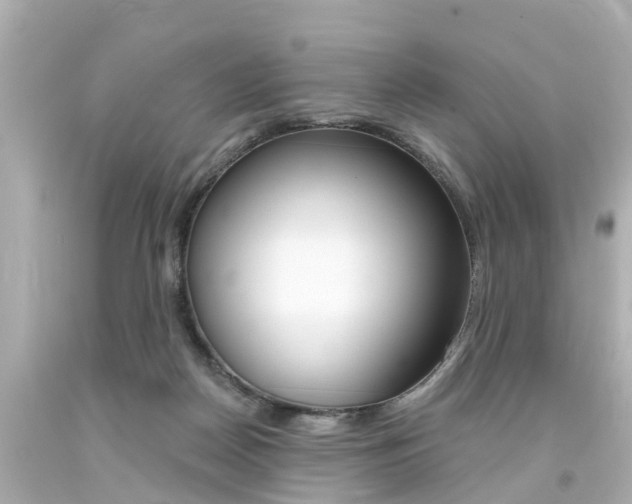X0000094380170200711020833