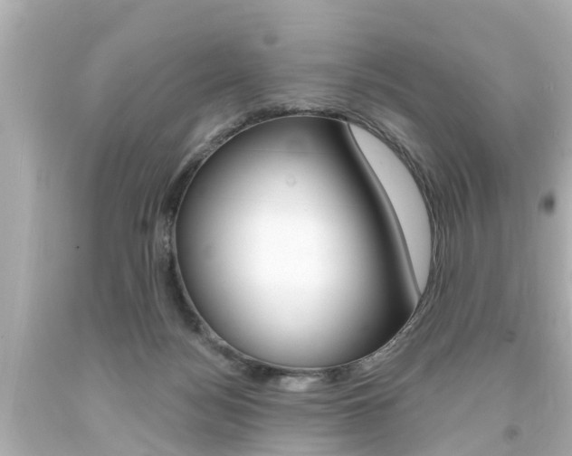 X0000094380172200711020833