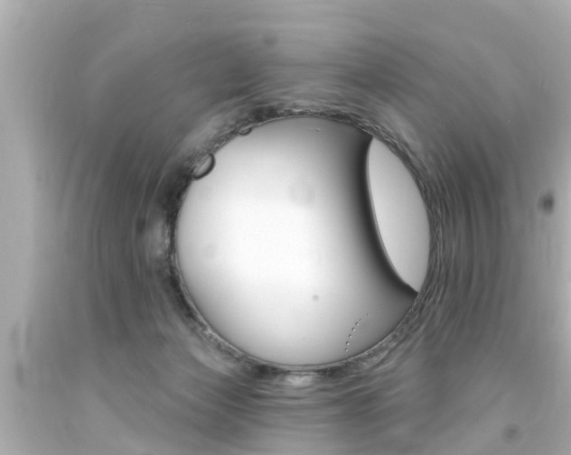 X0000094380173200711020833