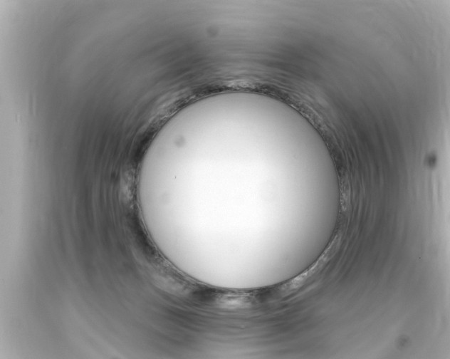 X0000094380175200711020833