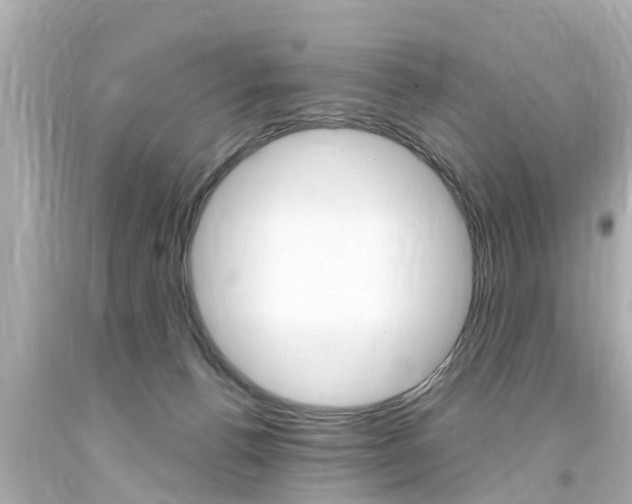 X0000094380176200711020833