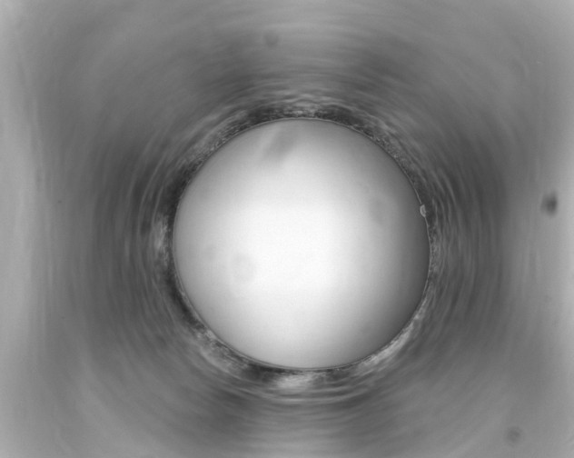 X0000094380178200711020833