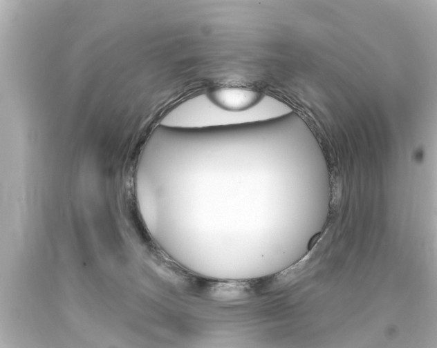 X0000094380179200711020833