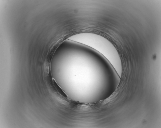 X0000094380180200711020833