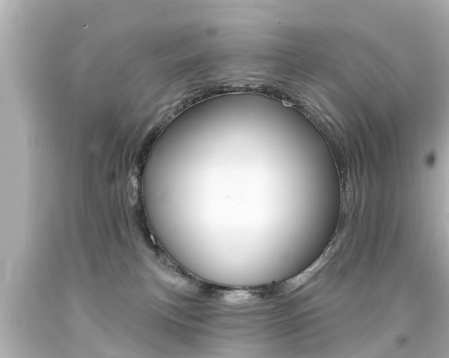 X0000094380183200711020833