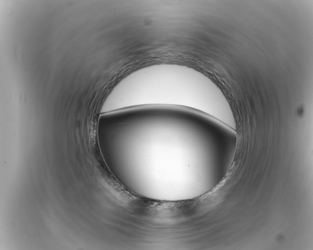 X0000094380186200711020833