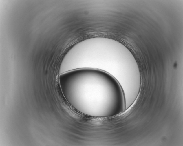 X0000094380190200711020833