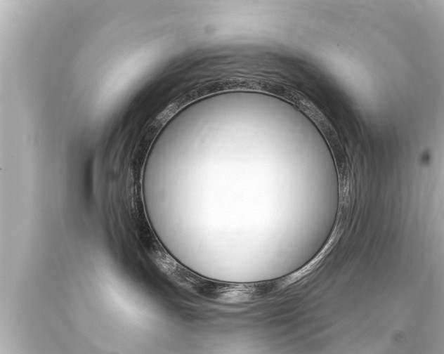 X0000094380191200711020833