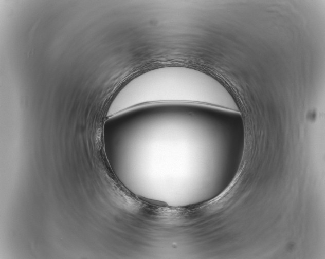 X0000094380192200711020833