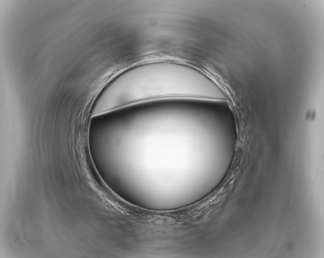 X0000094380193200711020833