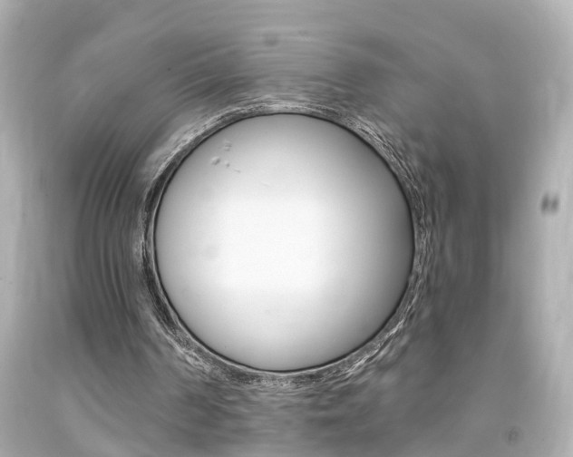 X0000094380194200711020833