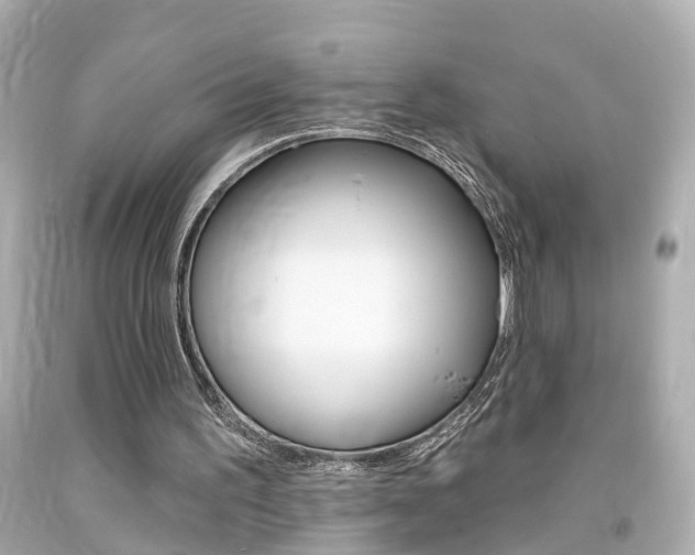 X0000094380195200711020833