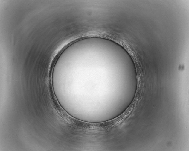 X0000094380196200711020833