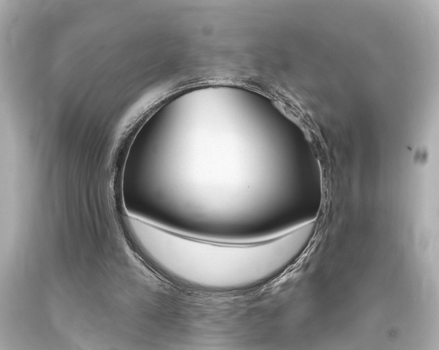 X0000094380197200711020832