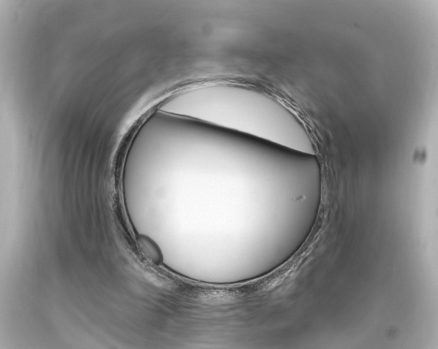 X0000094380198200711020832