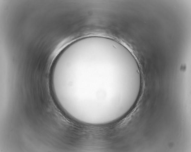 X0000094380199200711020832