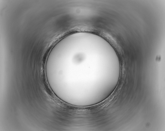 X0000094380202200711020832