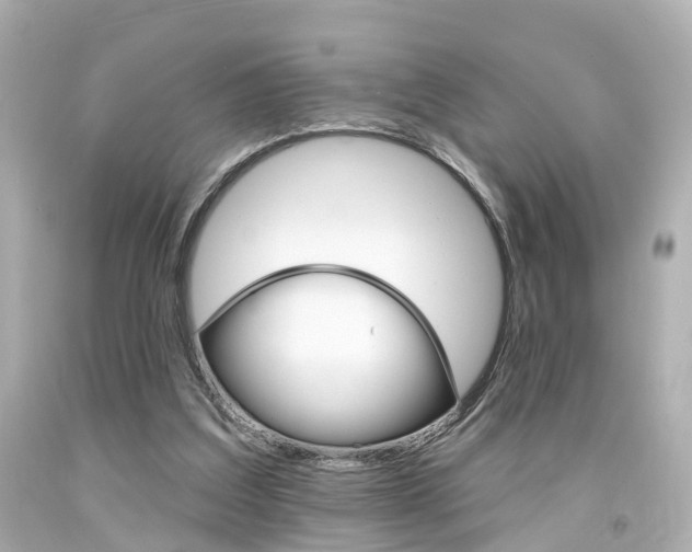 X0000094380203200711020832