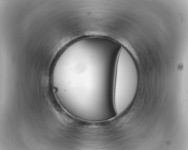 X0000094380204200711020832