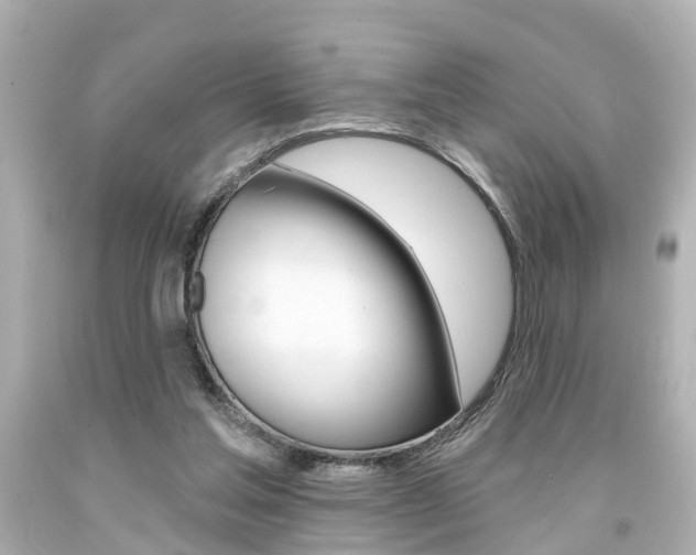 X0000094380205200711020832