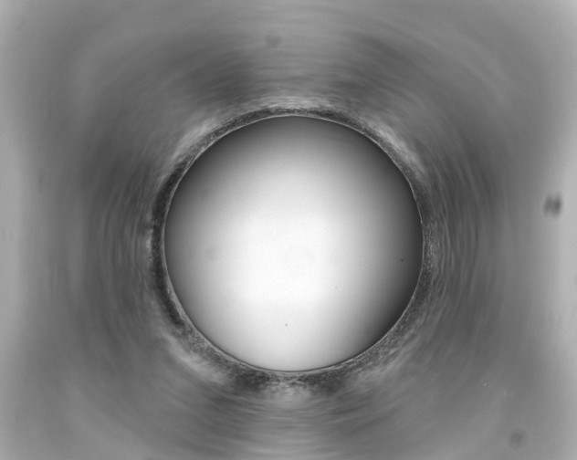 X0000094380207200711020832
