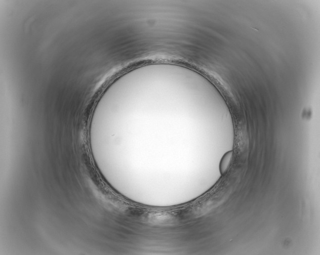 X0000094380208200711020832