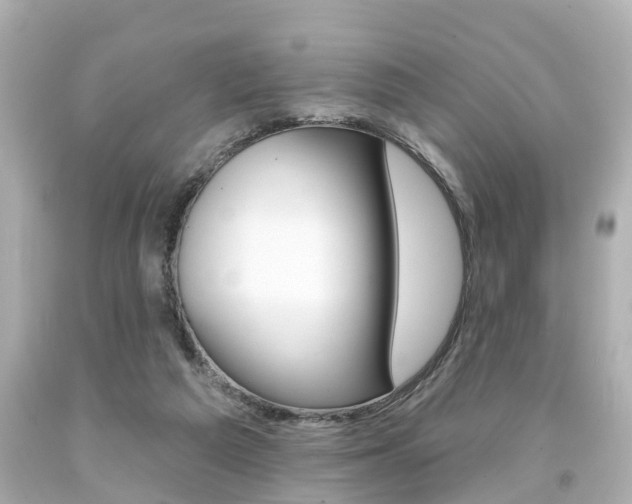 X0000094380209200711020832