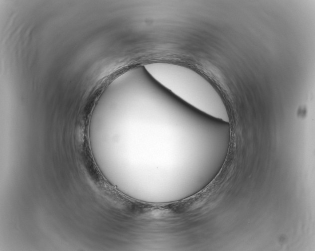X0000094380210200711020832
