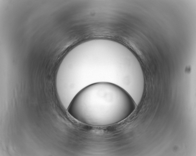 X0000094380211200711020832