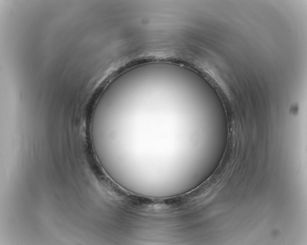 X0000094380212200711020832