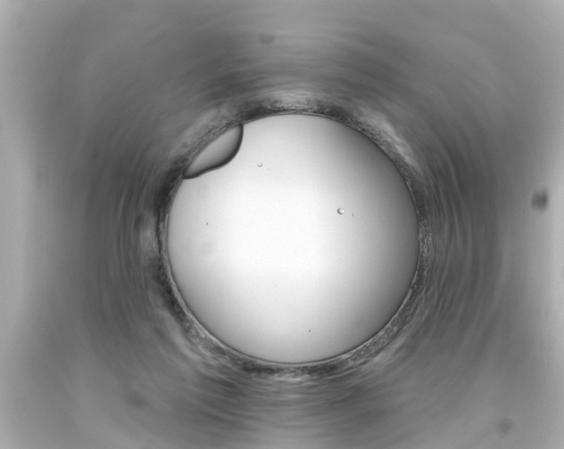 X0000094380213200711020832