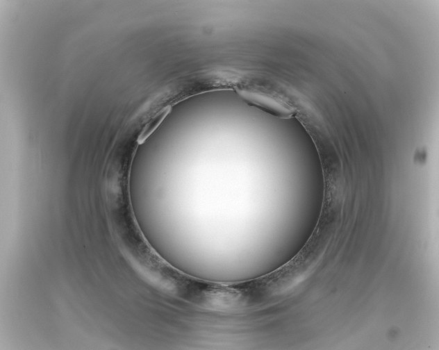 X0000094380215200711020832