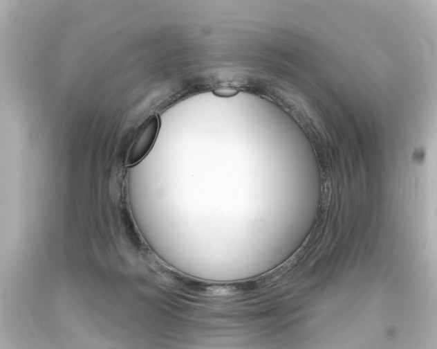 X0000094380218200711020832