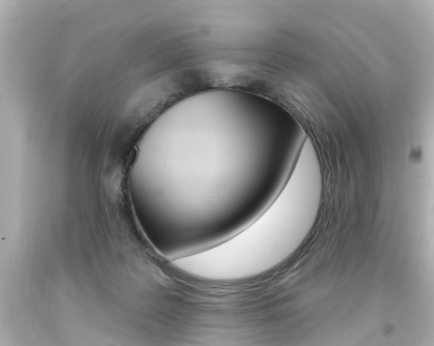 X0000094380219200711020832