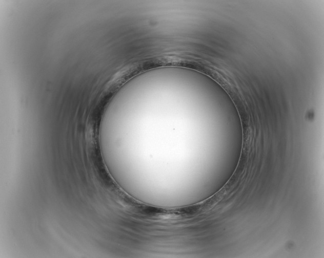 X0000094380220200711020832