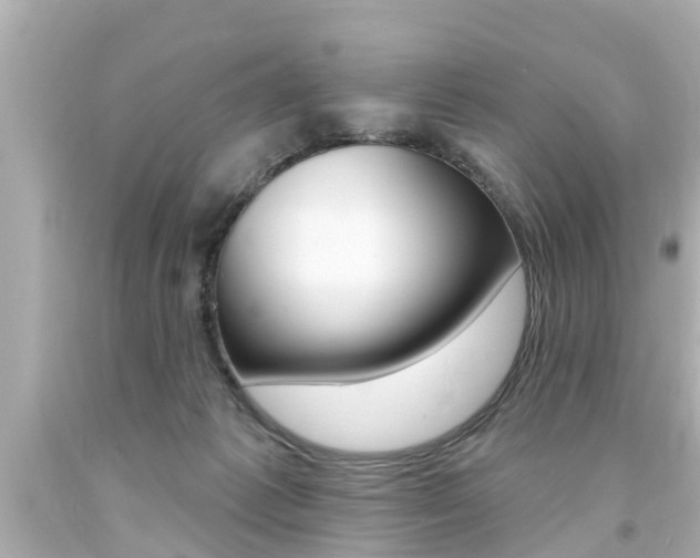 X0000094380221200711020832