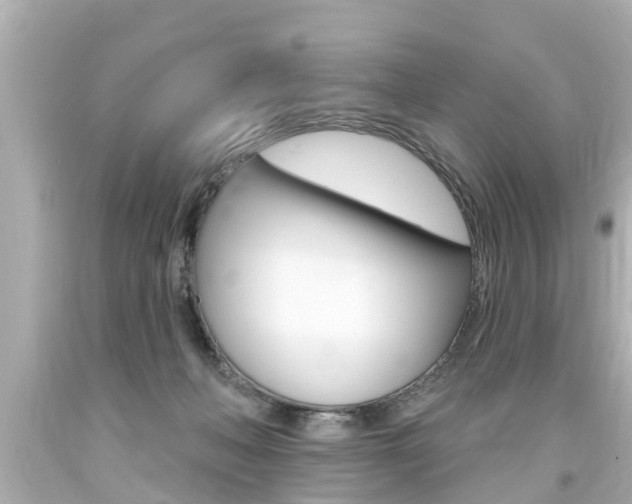X0000094380222200711020832