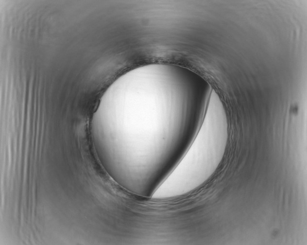 X0000094380225200711020832