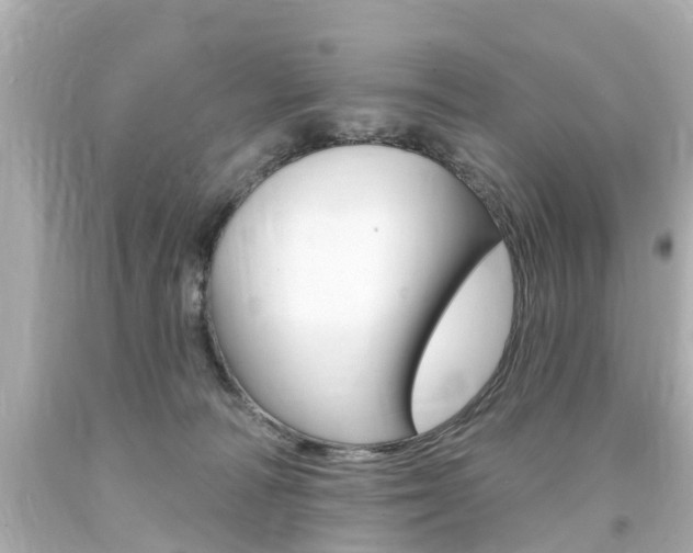 X0000094380226200711020832