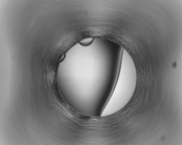 X0000094380227200711020832