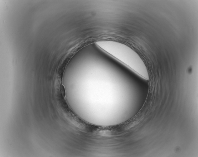 X0000094380228200711020832