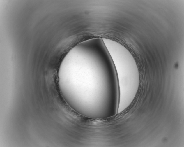 X0000094380229200711020832
